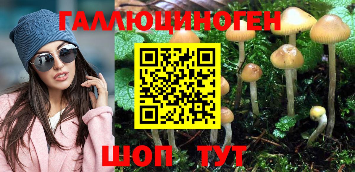Псилоцибиновые грибы GOLDEN TEACHER  Галлюциногенные грибы Psilocybe  где найти наркотики  Вход с VPN  Асбест 
